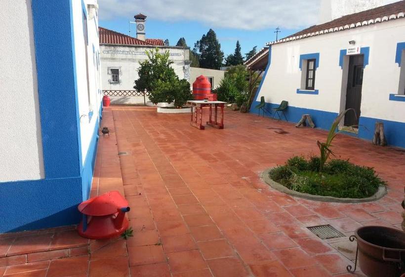 Пансион Alojamento O Tordo