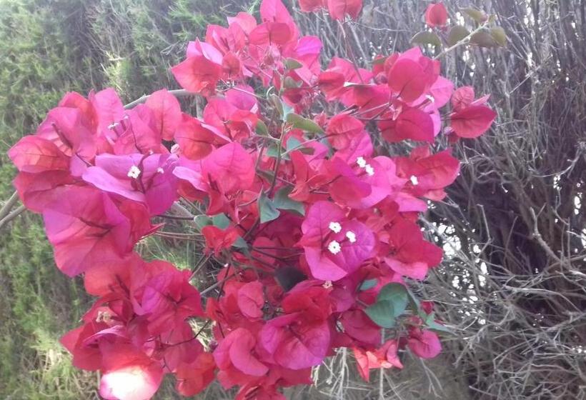 بنسيون Roulito S Guest House