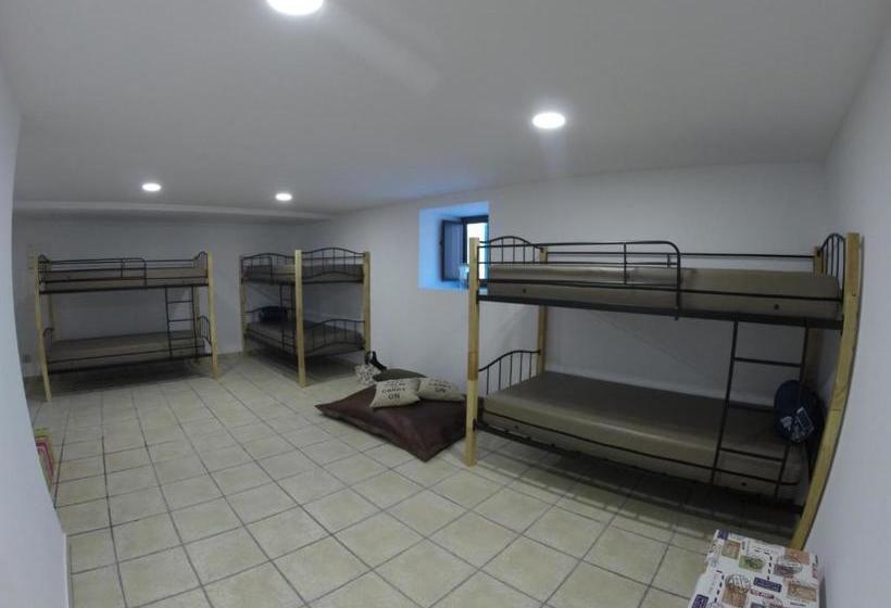 膳宿费 Sicó In And Out