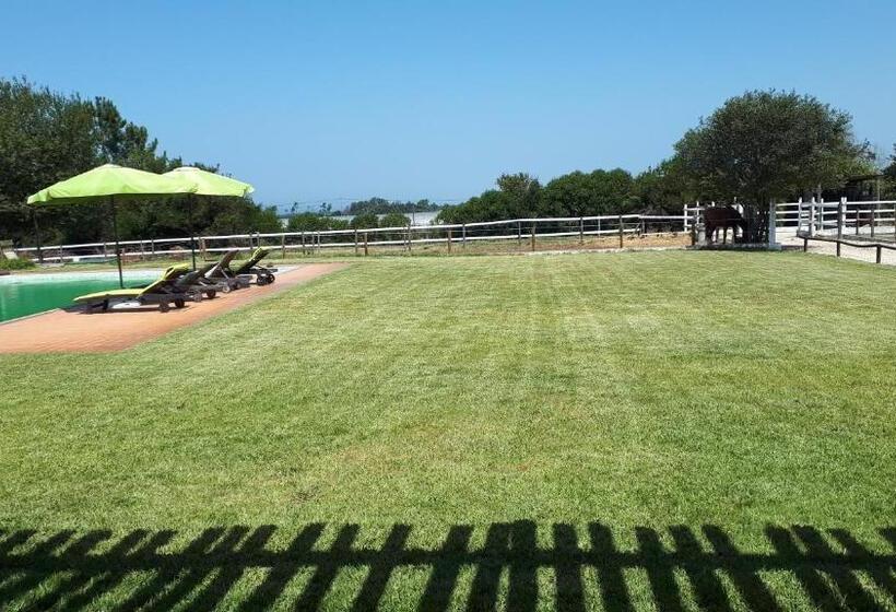 Отель Setequintas