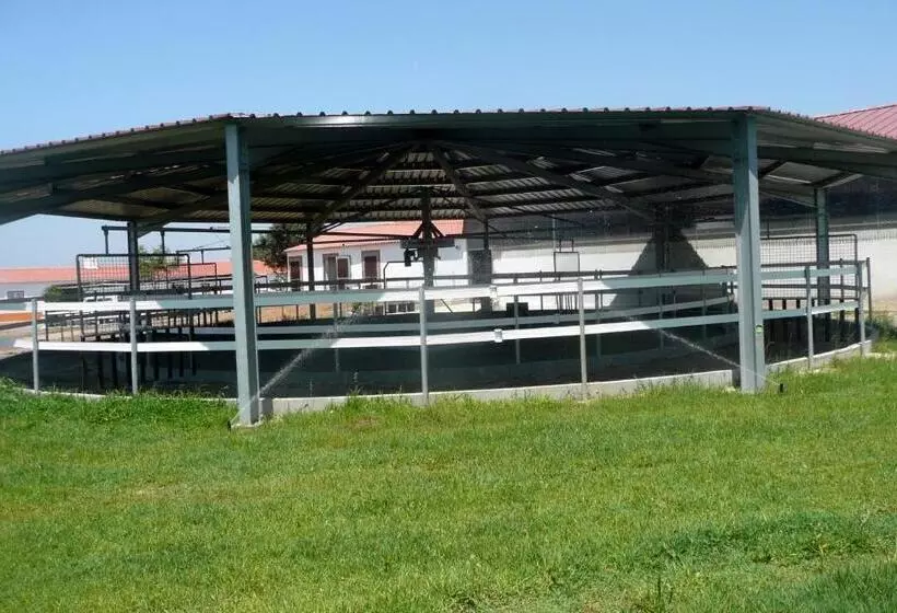 Hotelli Setequintas