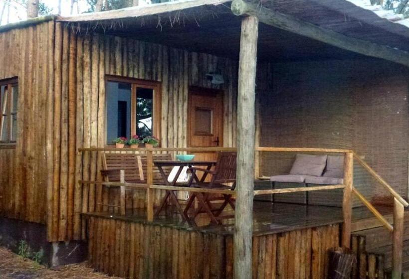 Отель Setequintas