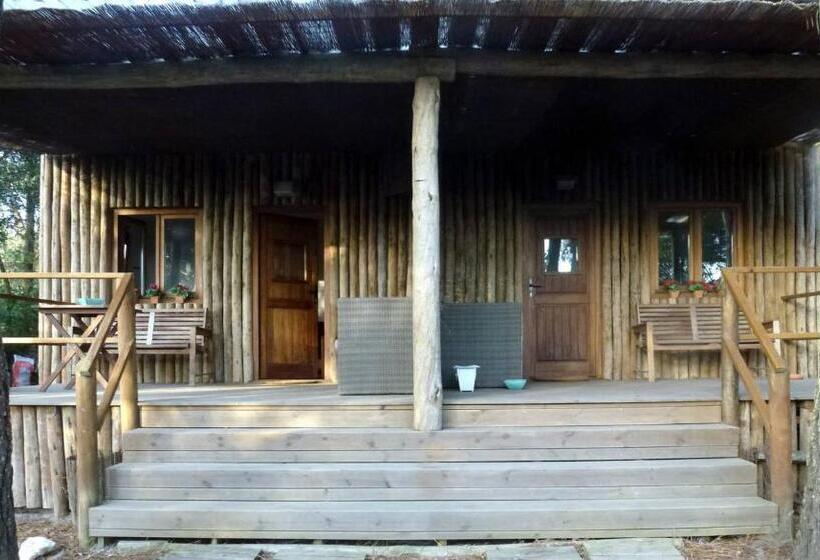 Отель Setequintas