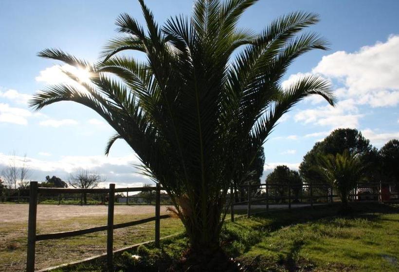 پانسیون Monte Macário Alojamento Local