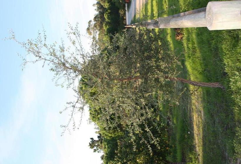 پانسیون Monte Macário Alojamento Local