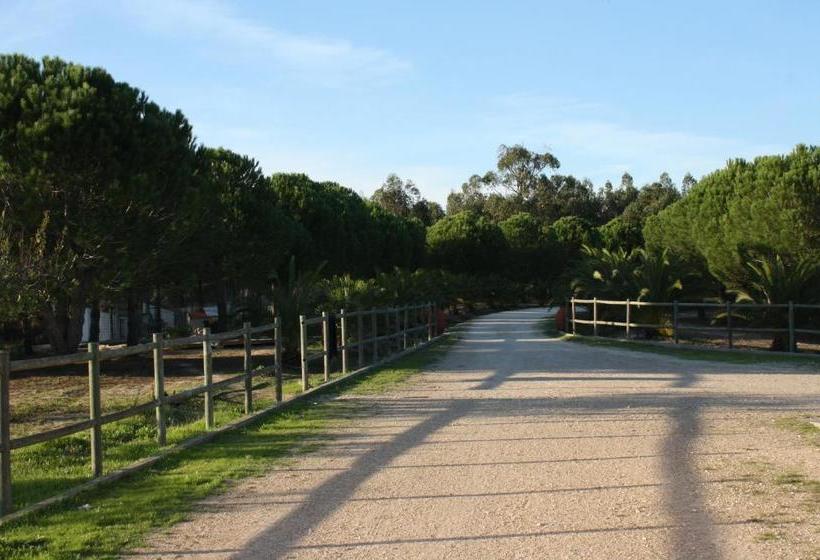 پانسیون Monte Macário Alojamento Local