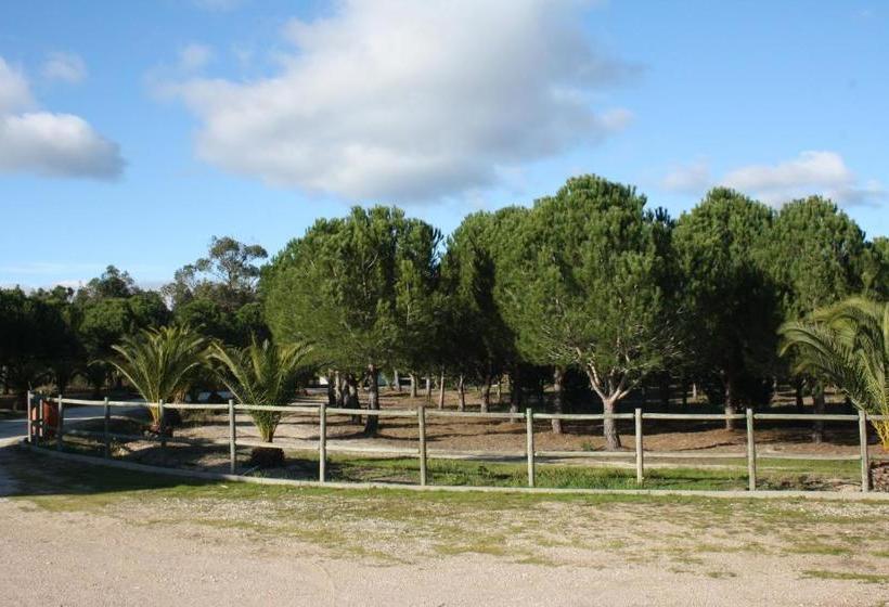 پانسیون Monte Macário Alojamento Local