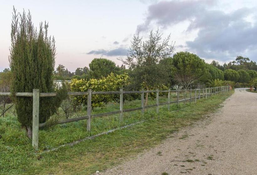 پانسیون Monte Macário Alojamento Local