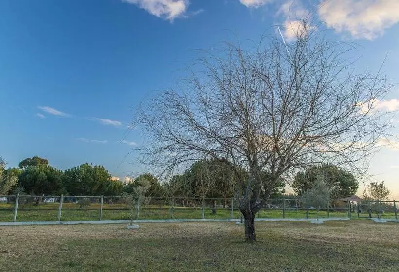 Majatalo Monte Macário Alojamento Local