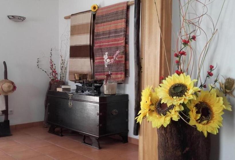 بنسيون Sol Da Vila