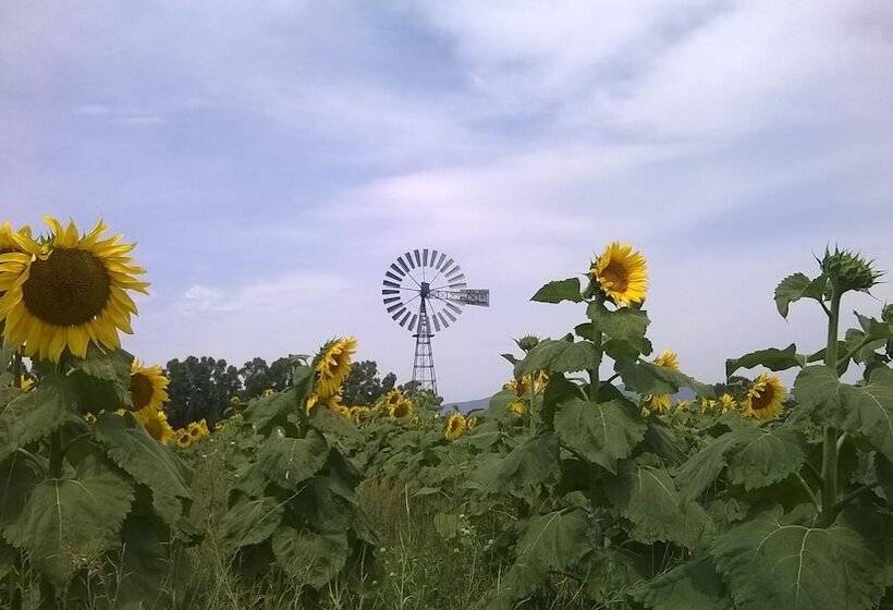 ホテル Vento Di Maremma