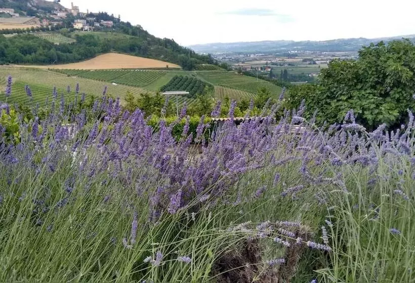 ペンション Agriturismo Solestelle