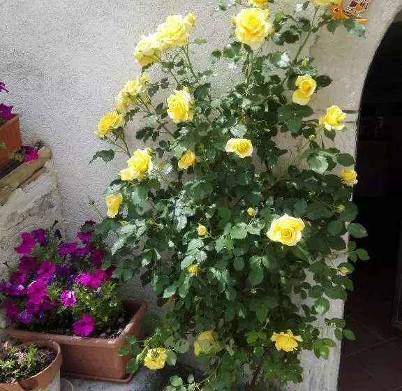 Majatalo Residenza Storica Le Civette