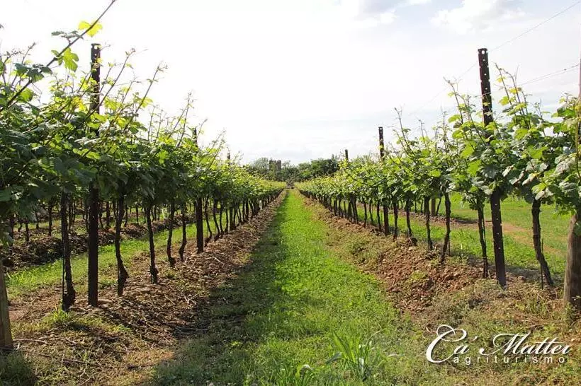 ホテル Agriturismo Ca'mattei