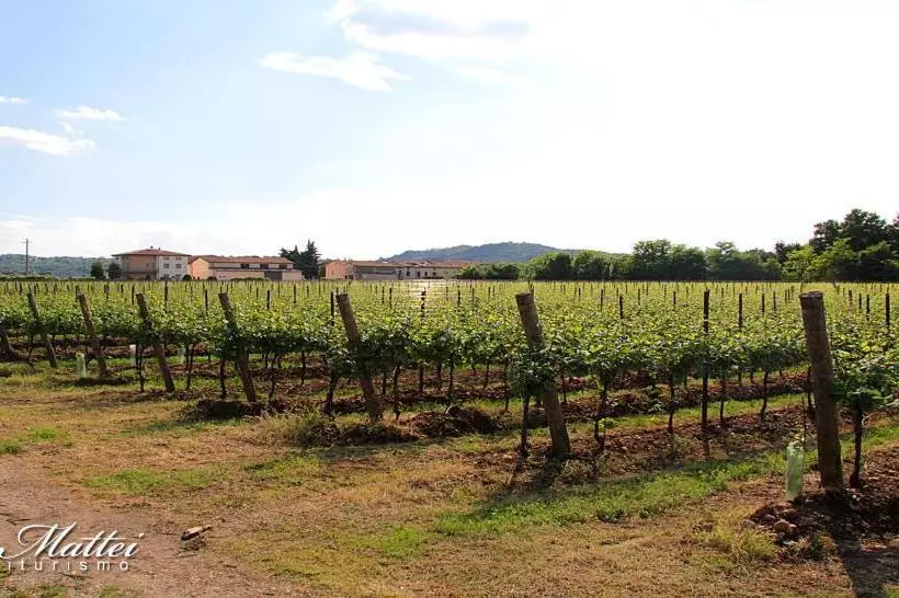 ホテル Agriturismo Ca'mattei