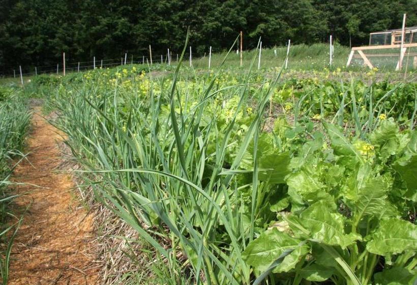 فندق Agriturismo Biologico Autosufficienza