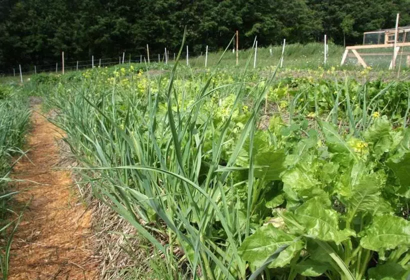 Hotelli Agriturismo Biologico Autosufficienza