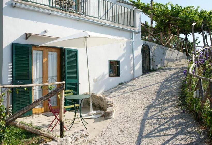 Отель Sopra Il Limoneto