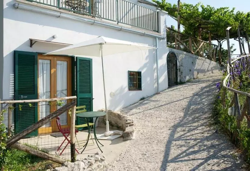 Hotelli Sopra Il Limoneto