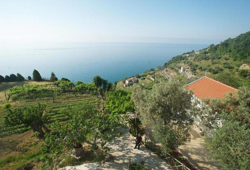 Отель Sopra Il Limoneto