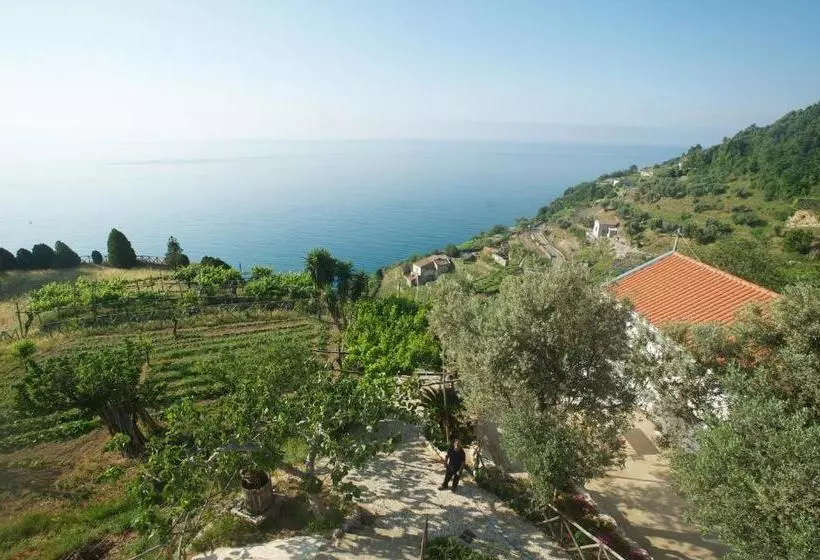 Hotelli Sopra Il Limoneto