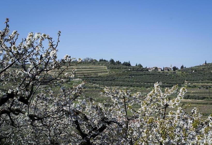 ペンション Villa Di Cazzano  Bioluxury Living