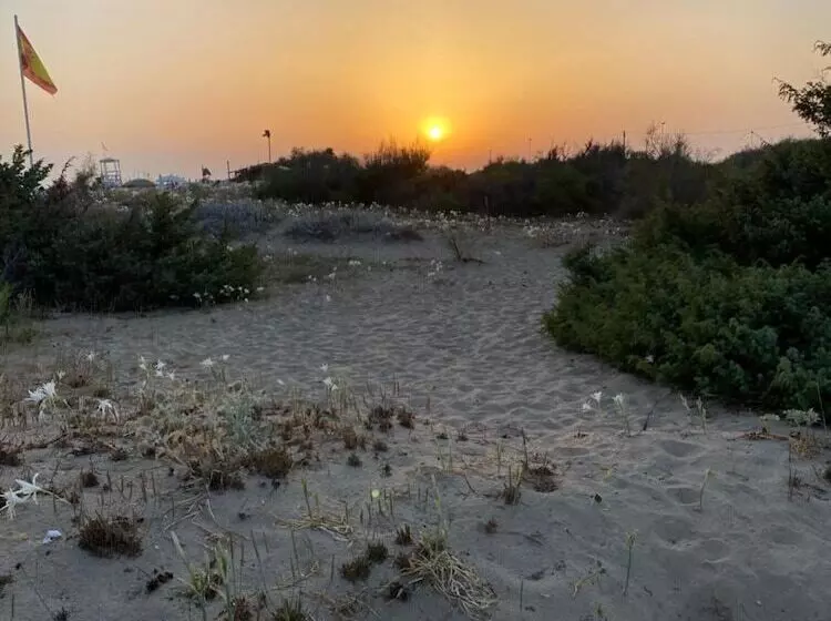 Hotelli Tenuta Palmira Agriturismo