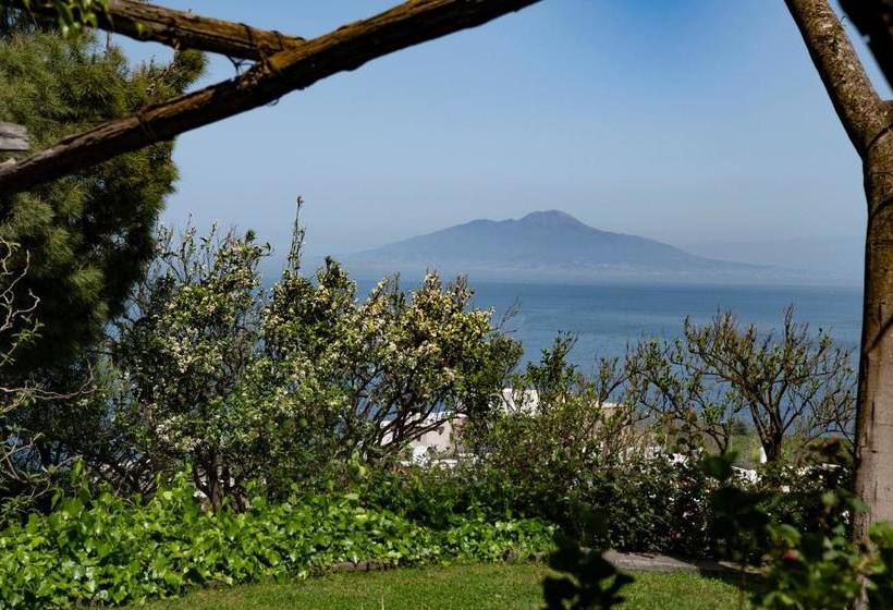 Pensjonat Capri Tiberio's Dream