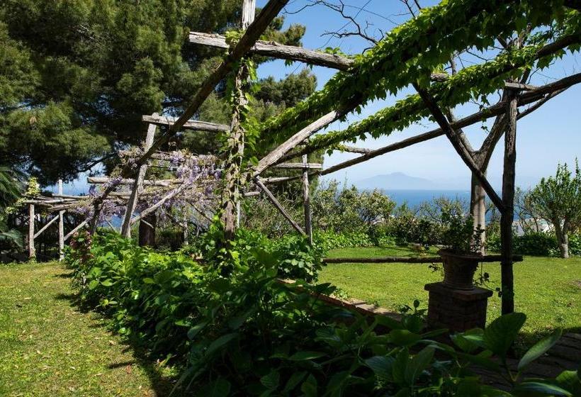 Pensjonat Capri Tiberio's Dream