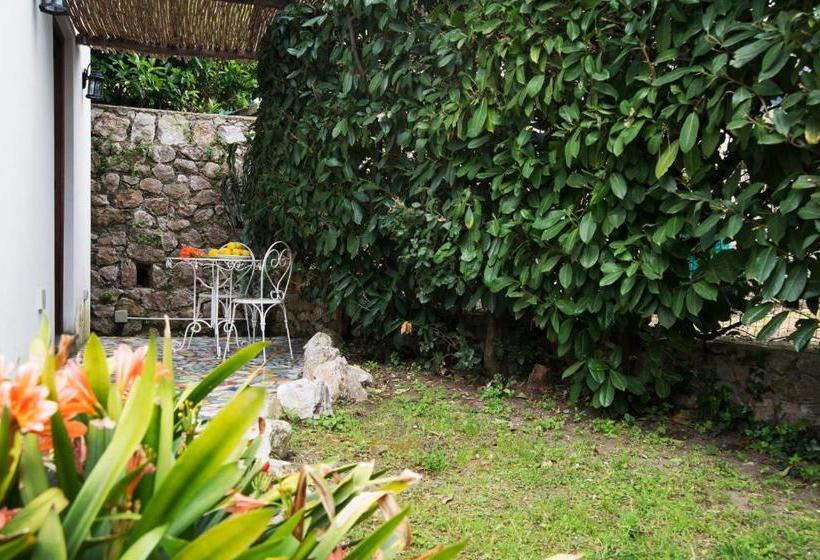 Pensjonat Capri Tiberio's Dream