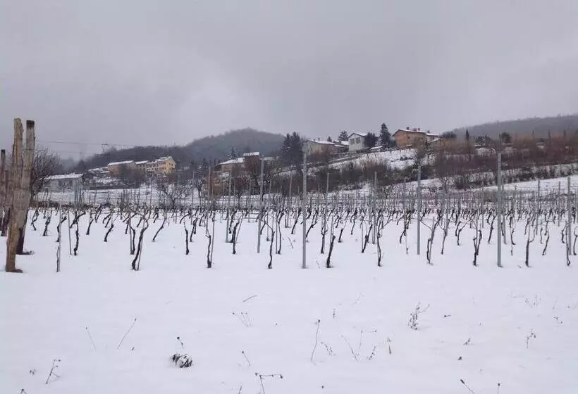 ホテル Azienda Agricola Garoglio Davide