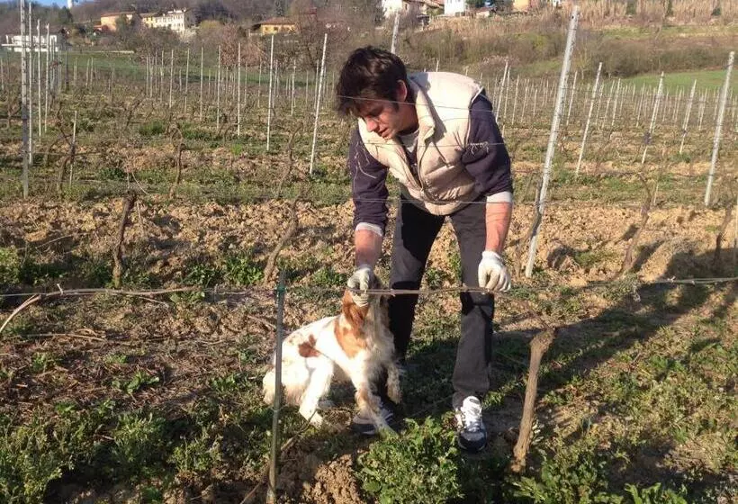 ホテル Azienda Agricola Garoglio Davide