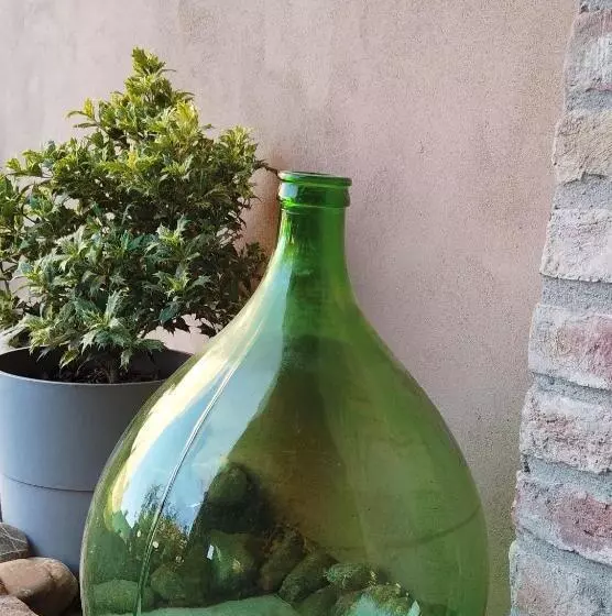 La Maggiorina