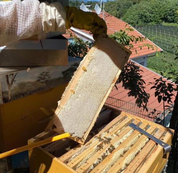 Пансион Garni San Paolo