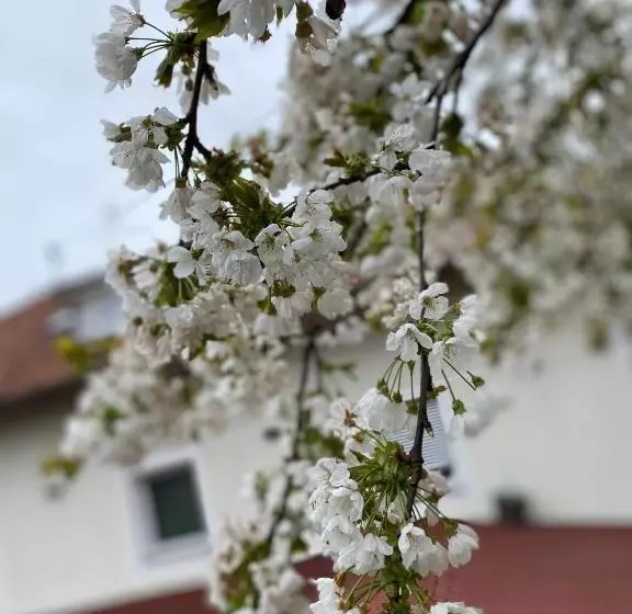 Majatalo Garni San Paolo