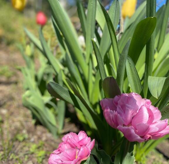 Пансион Garni San Paolo