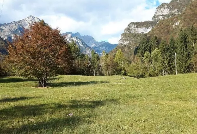 ベッドアンドブレックファースト Green Rose