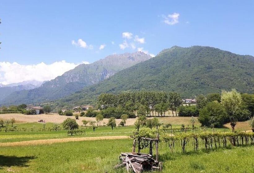 Bed and Breakfast Green Rose