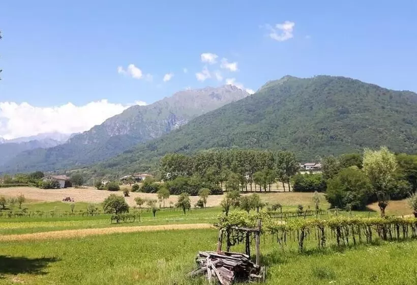 ベッドアンドブレックファースト Green Rose