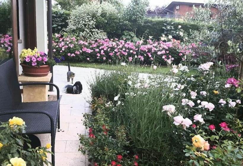 Bed and Breakfast Green Rose