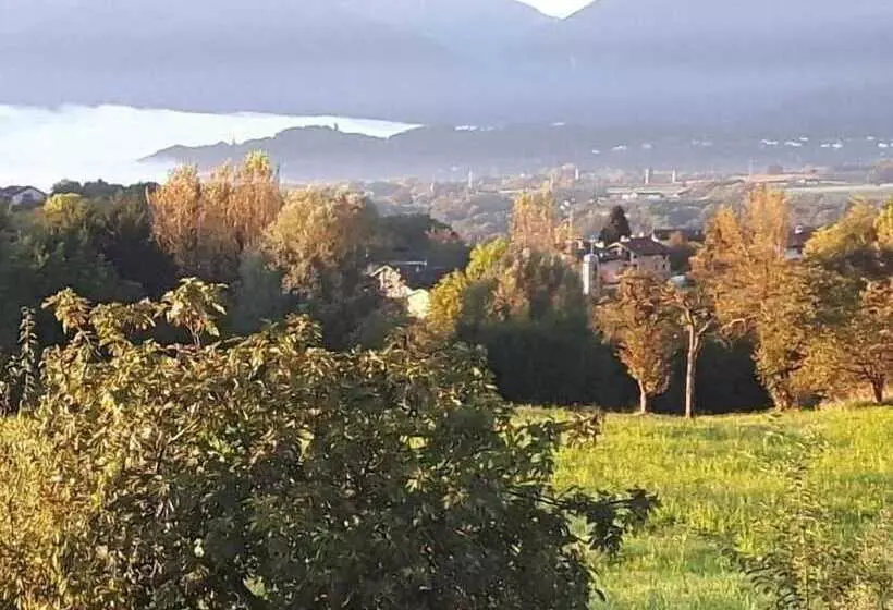 ベッドアンドブレックファースト Green Rose