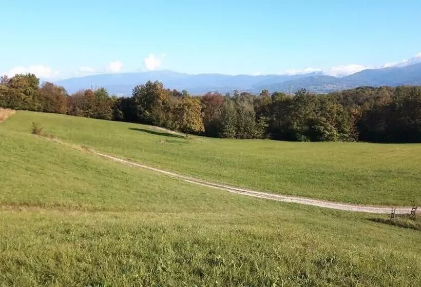 ベッドアンドブレックファースト Green Rose