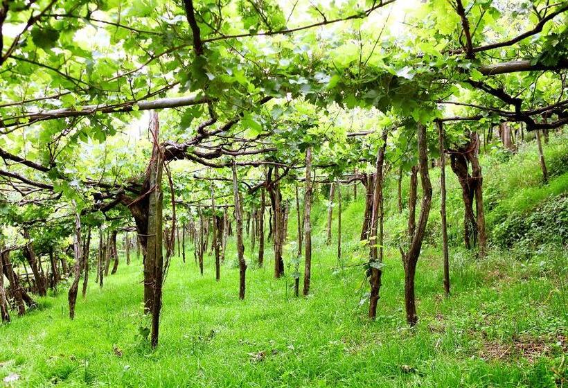 בית מלון כפרי Il Raduno