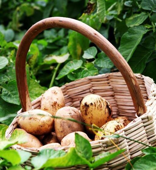 בית מלון כפרי Il Raduno