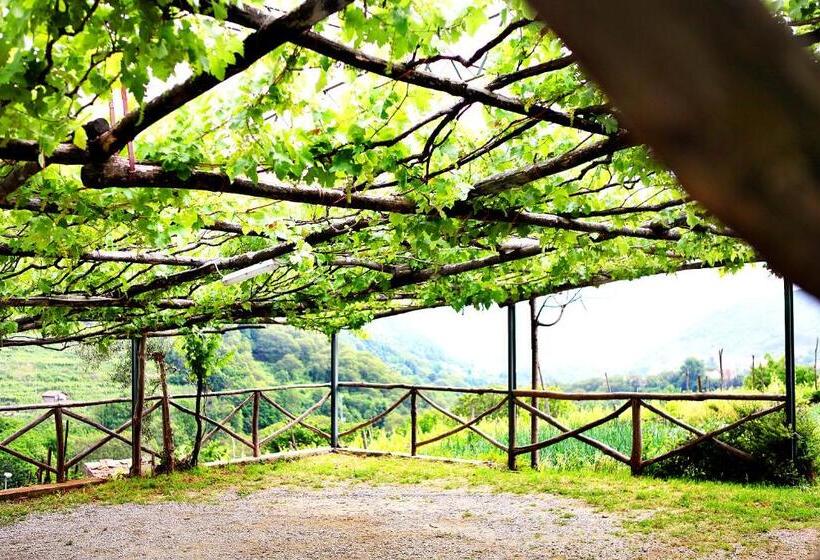 בית מלון כפרי Il Raduno