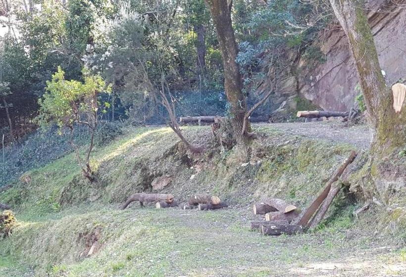 پانسیون Villa Porto Sul Magra