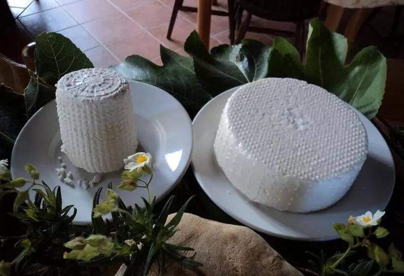 ホテル Agriturismo Aurella