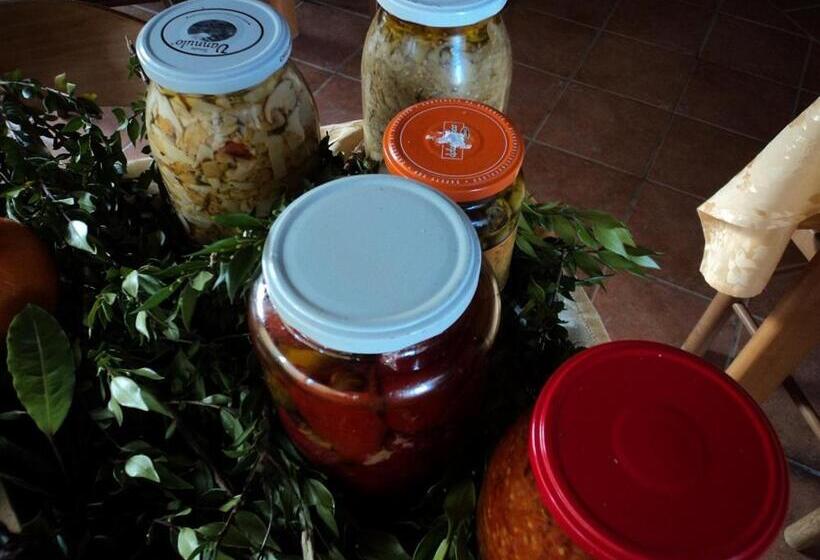 ホテル Agriturismo Aurella