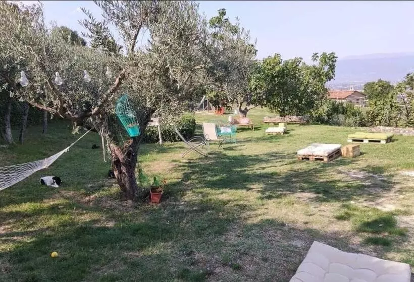 ホテル Agriturismo Etico Le Grazie