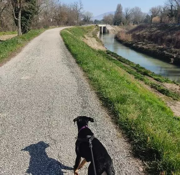 ホテル Agriturismo Etico Le Grazie